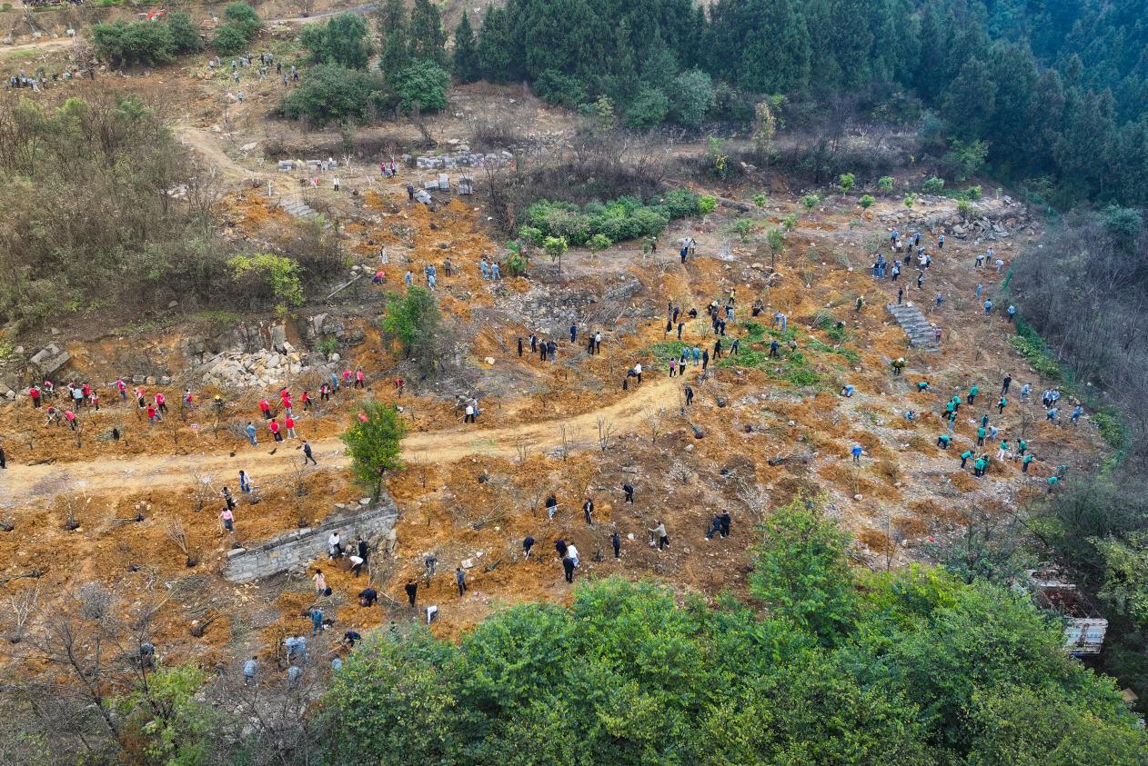 DJI_20260227092649_0050_D 拷贝