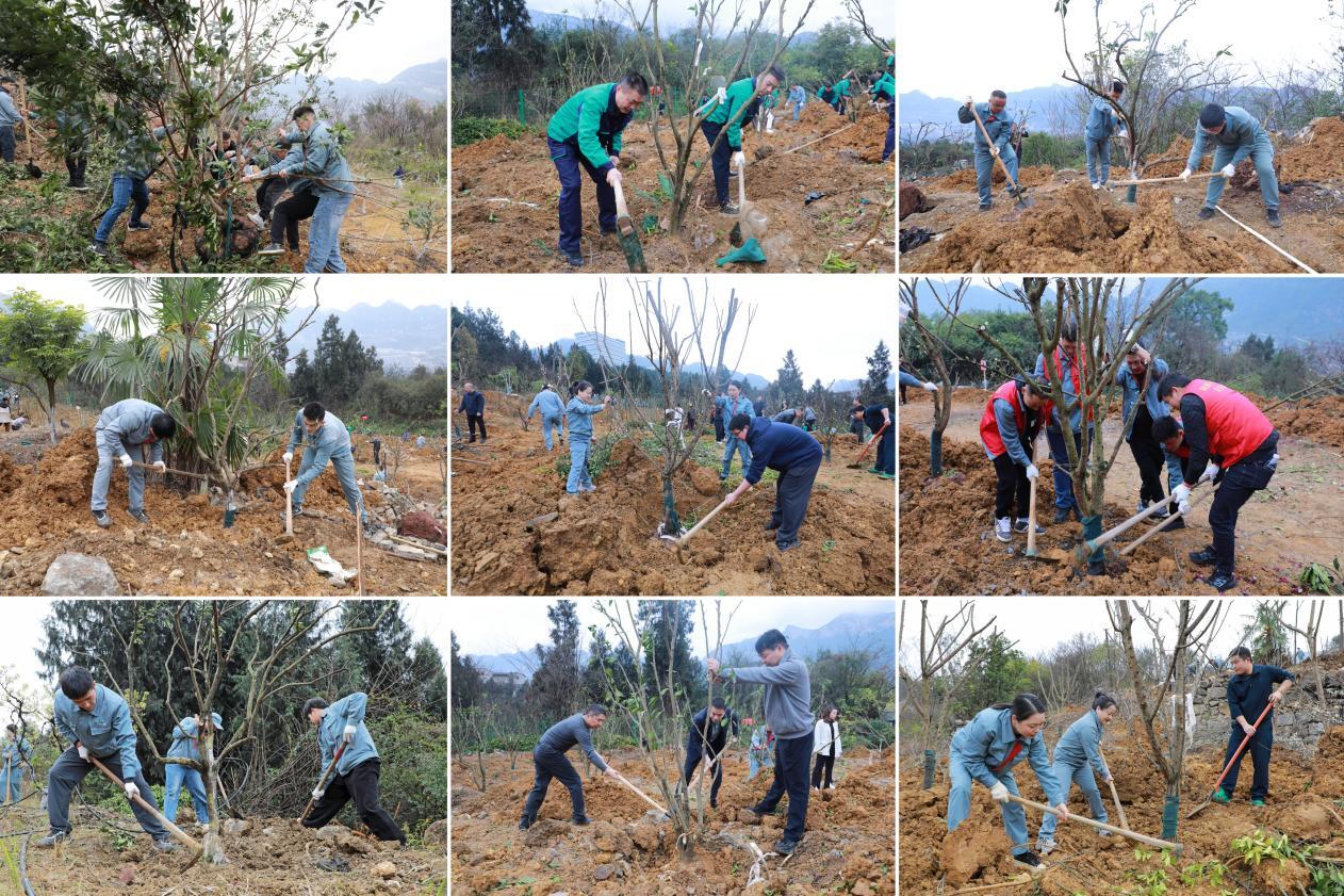 12dbc25f5cf0e06f10d4d943464e642b_origin(1)